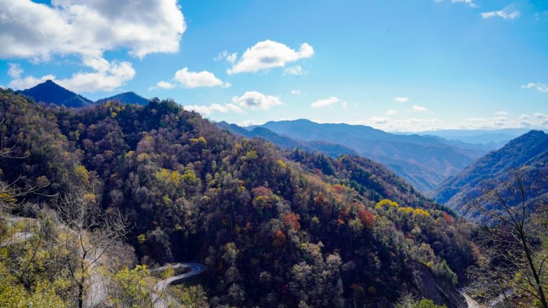 Rediscovering Nature: The Allure of Outdoor Adventures in Today’s World